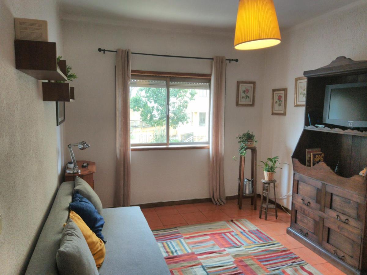 ! Free Parking Street ! Ground Floor With Washer! Porto Eksteriør billede
